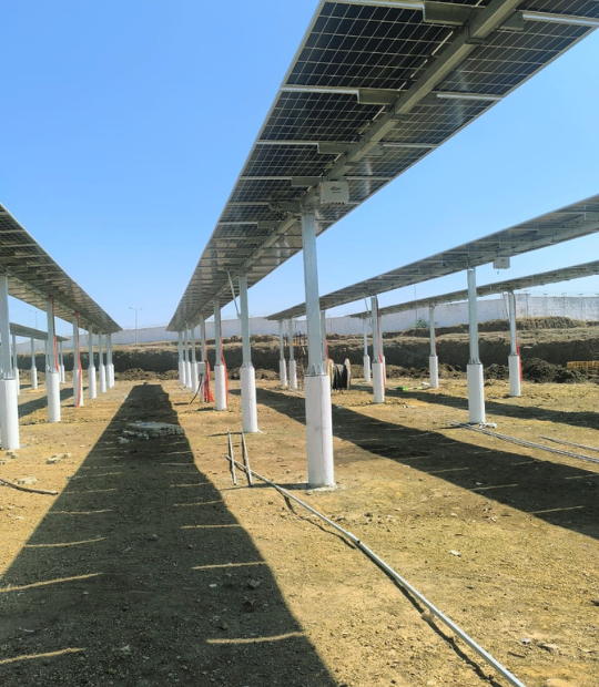 Agri voltaic Single-Axis Trackers: DayChase